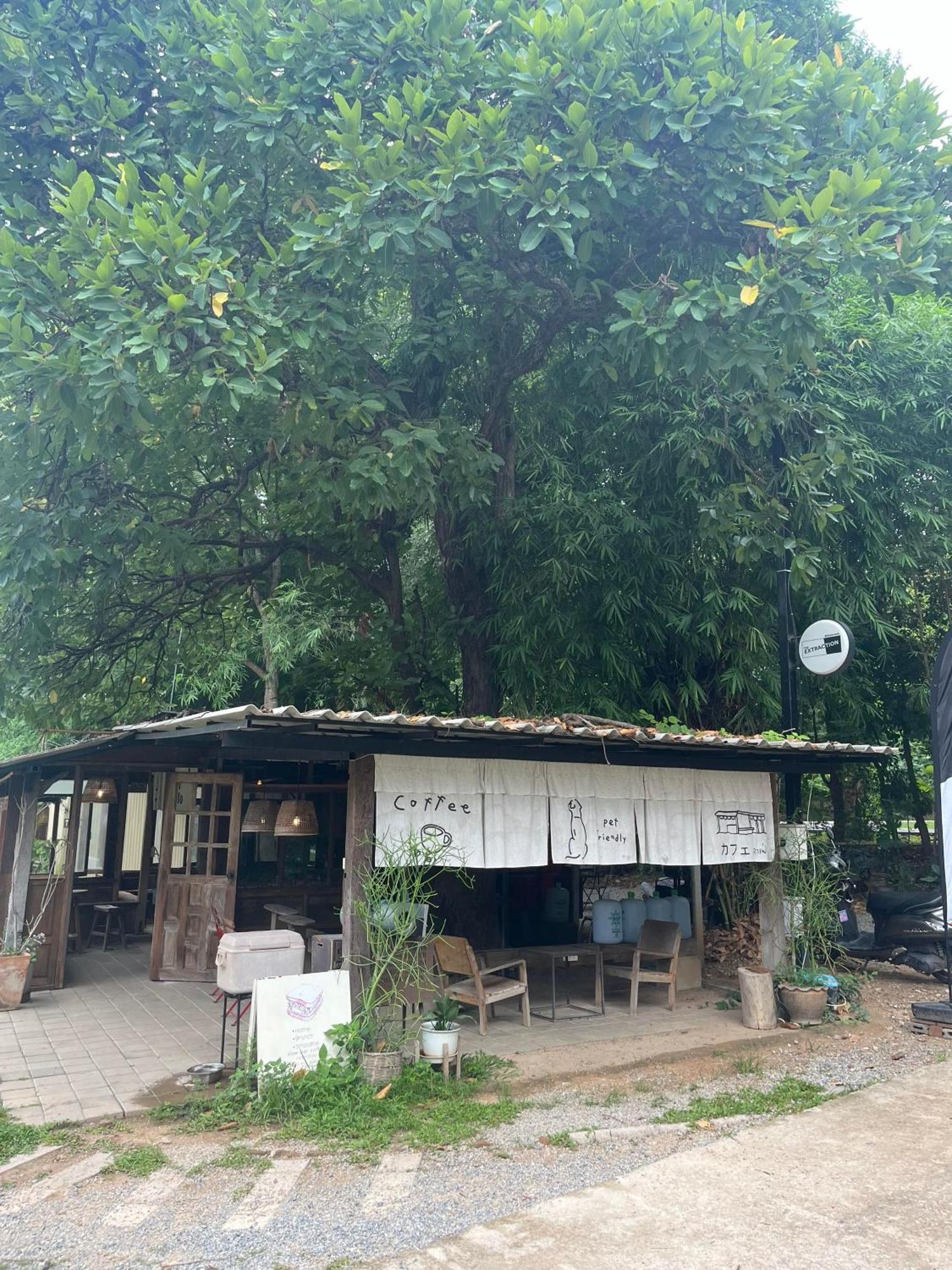 Foresta Villa Hang Dong Extérieur photo