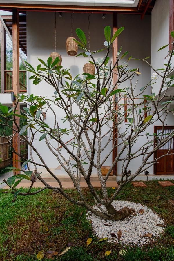 Foresta Villa Hang Dong Extérieur photo