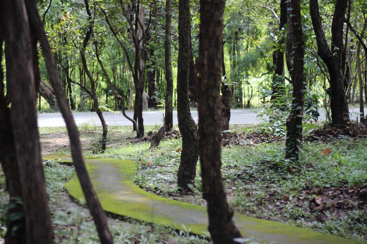 Foresta Villa Hang Dong Extérieur photo